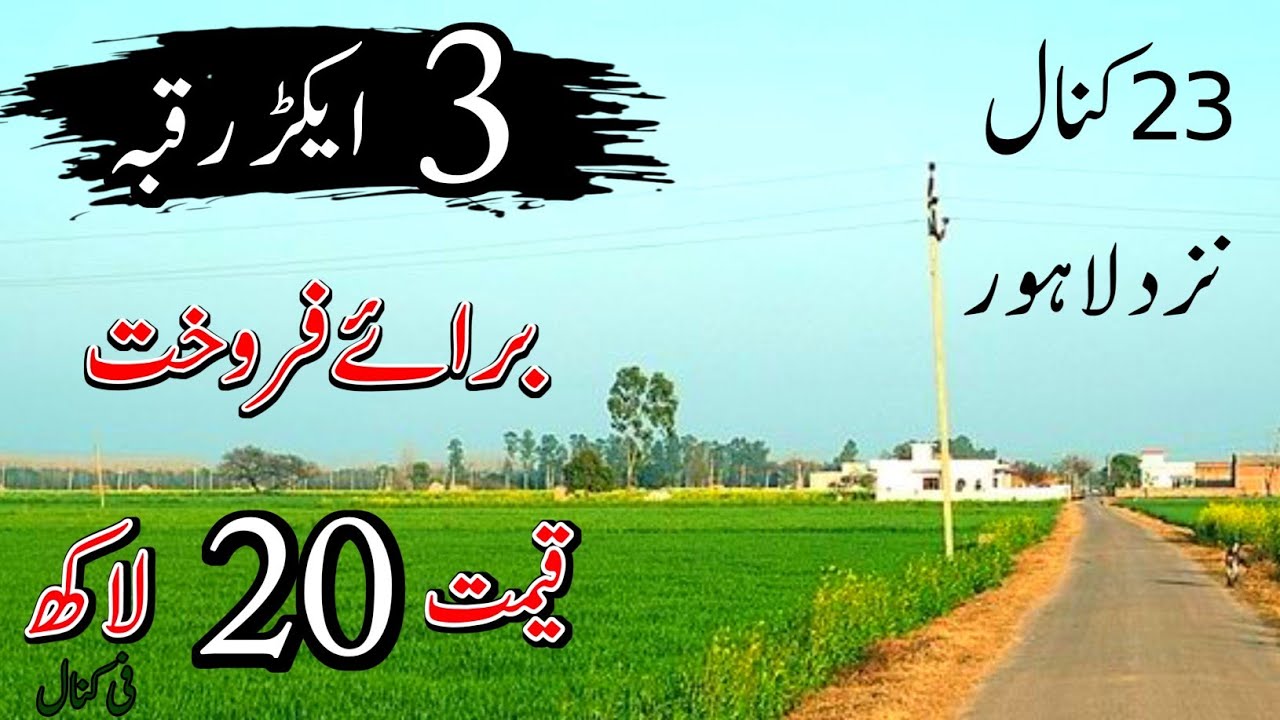3 Acres Agriculture land for sale in Punjab Pakistan | Land for sale 2025 | EP 63