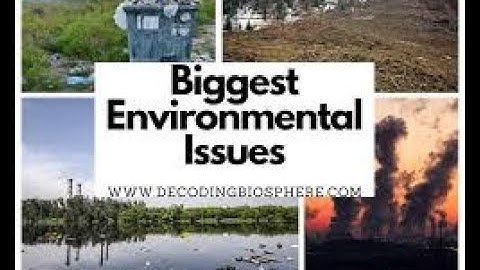 15 Biggest Environmental Problems of 2025