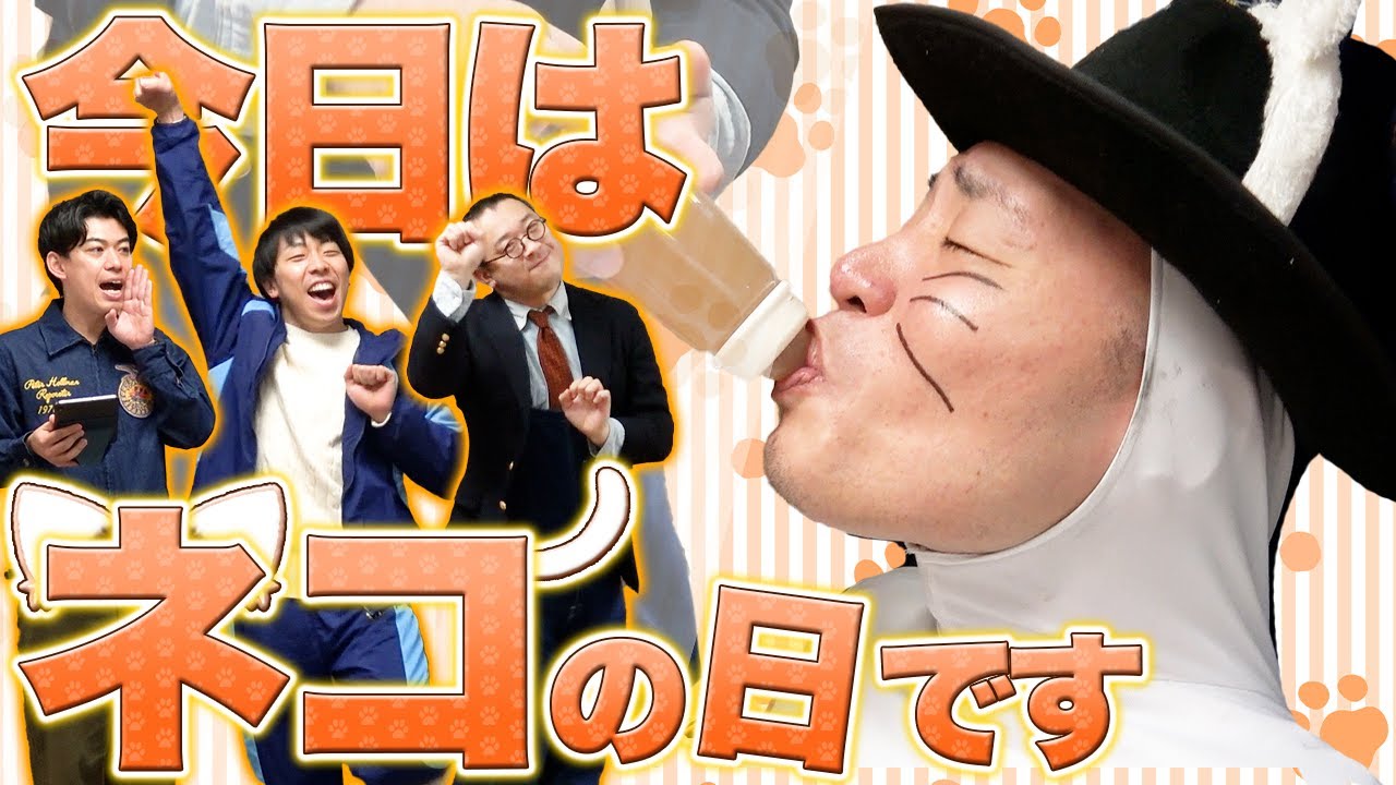 【猫の日】マンゲキの看板猫！”ハニャタニ”のお世話をしよう！！【カベポスター】【オーサカクレオパトラ】【フースーヤ】