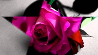 Emir Sudan Sebep (Cimbomlu Kizz) Resimi