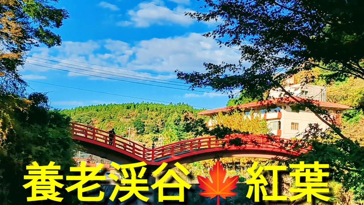 🍁養老渓谷の紅葉🍁粟又の滝🍀二階建てトンネル🎀千葉県大多喜町🌸紅葉が見頃になりました😄
