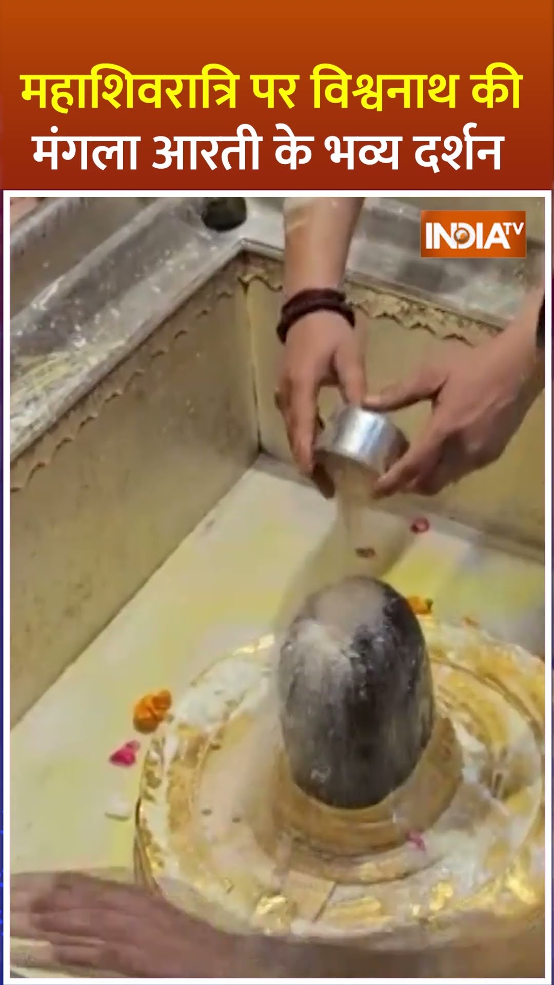 #mahashivratri पर #kashivishwanath की मंगला आरती के भव्य दर्शन #vishwanathdham #shorts