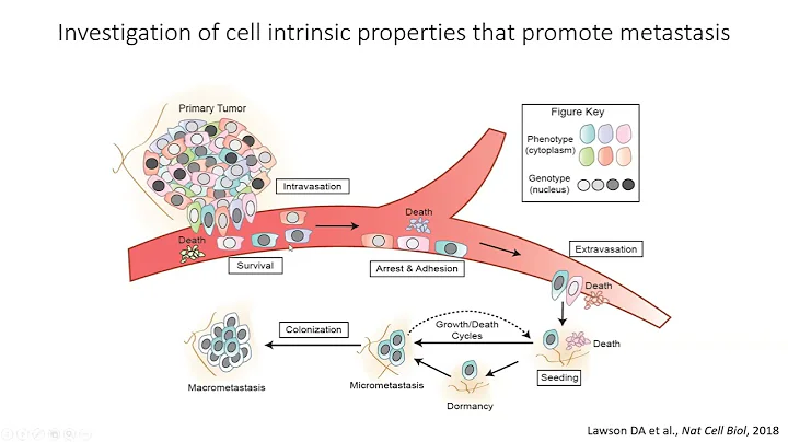 CTSI Distinguished Speaker Series I Devon Lawson