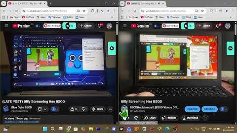 Side By Side Billy Screaming Has BSOD