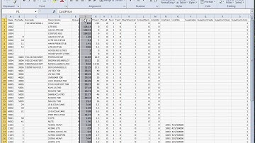 Lynx Software Using Item Import to Build Your Stock File demonstration