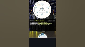 Cisco DHCP Snooping Configuration Example..! | FREE CCNA 200-301 Shorts | IPCisco.com