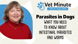 Intestinal Parasites in Dogs Webinar: Heartworm, Tapeworm, Coccidia and other Internal Parasites