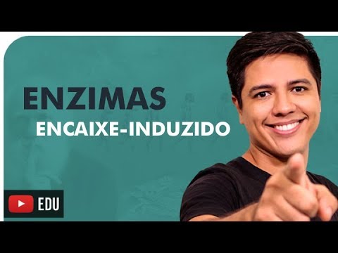 Vídeo: Qual é o modelo de fechadura e chave para enzimas?