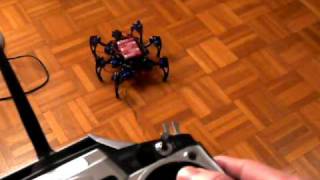 OpenSCB hexapod holonomic move