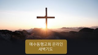 2025 7.8 예수동행교회 새벽예배