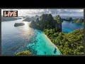 🔴 Live Beach Cam | 24/7 Tropical Drone Footage of the BEACH | Live Cameras Around the World