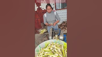 Peeling Bamboo Shoots with an Electric Roller Machine