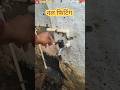 सप्लाई पाईपलाईन नल फिटिंग सीपीवीसी,☝️wastage water tap fitting#youtubeshorts#ytshorts#shorts#short