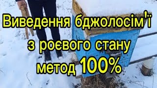 :   , 100%  .