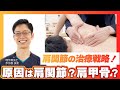 【肩関節/解説編】疼痛の原因は、肩関節？それとも肩甲骨？臨床推論をわかりやすく解説！