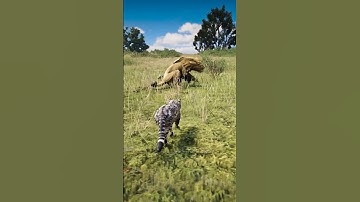 p937 Simulate great survival skills , #shorts