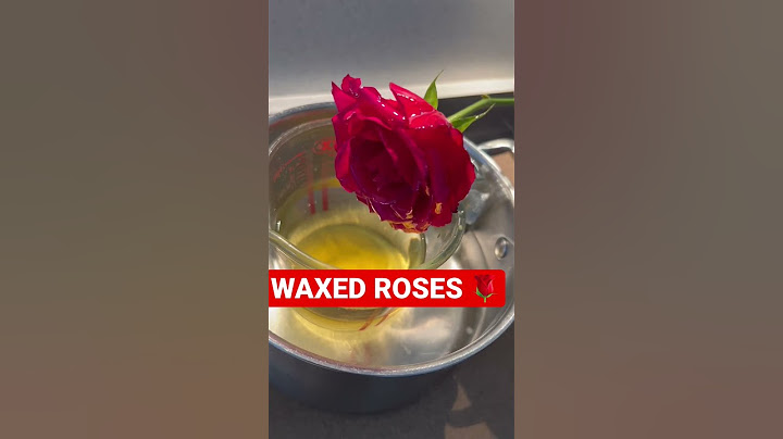 WAXED ROSES | FULL VIDEO ON DESCRIPTION #candles #candlebusiness #waxed #waxedflowers