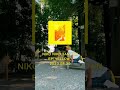NIKO NIKO TAN TAN - EP『YELLOW』15S SPOT (キューバ、気づき)