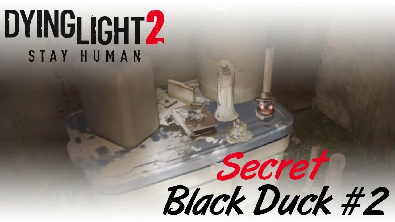 Dying Light 2 Secret Black Duck in the Outskirts YouTube