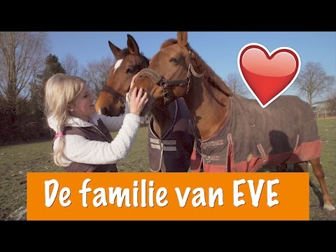 De familie van Eve | PaardenpraatTV - De familie van Eve | PaardenpraatTV