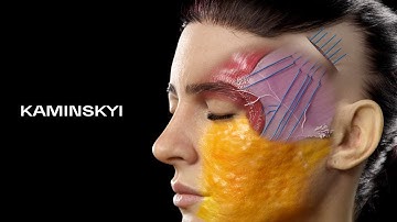 All About Endoscopic Facelift ⭕️ KAMINSKYI