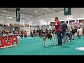 18.ª ECN Braga - Bebé a Reprodutor