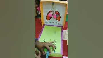 B.Ed Teaching aids-13 (for science)