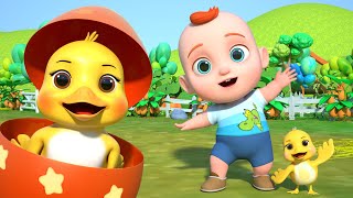 Download Lagu Cinco Patinhos + Completo | Desenho Infantil - Leo em Português MP3 Download Lagu Cinco Patinhos + Completo | Desenho Infantil - Leo em Português MP3