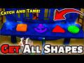 How To Find ALL 5 Shapes &amp; Free The Monkey In Catch &amp; Tame (Roblox) | Forgotten Depths Easy Guide