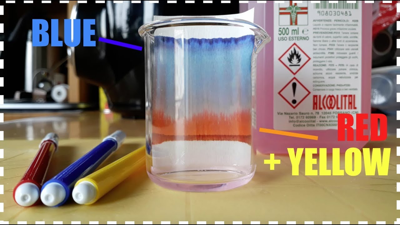 Obejrzyj Paper Chromatography | BlueRedYellow Mixture w YouTube Obejrzyj Paper Chromatography | BlueRedYellow Mixture w YouTube