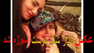 عکس الناز شاکردوست سوژه شد