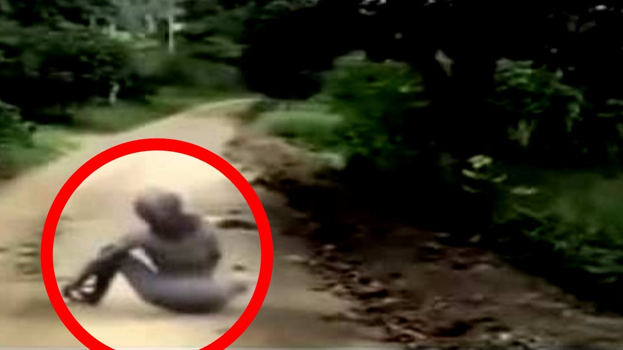 20 Scariest Creatures Caught on Tape | FunnyDog.TV