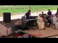 استعداد لحفله حنه العريس مزمار البلدي