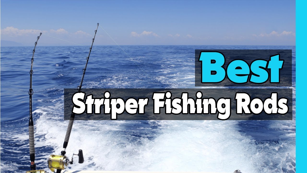 Optimal Rod & Reel Combo for Striper Fishing Guide