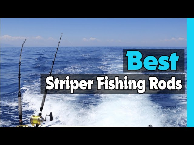 ✓Top 5: Best Striper Fishing Rods In 2023 🎣 [  Striped