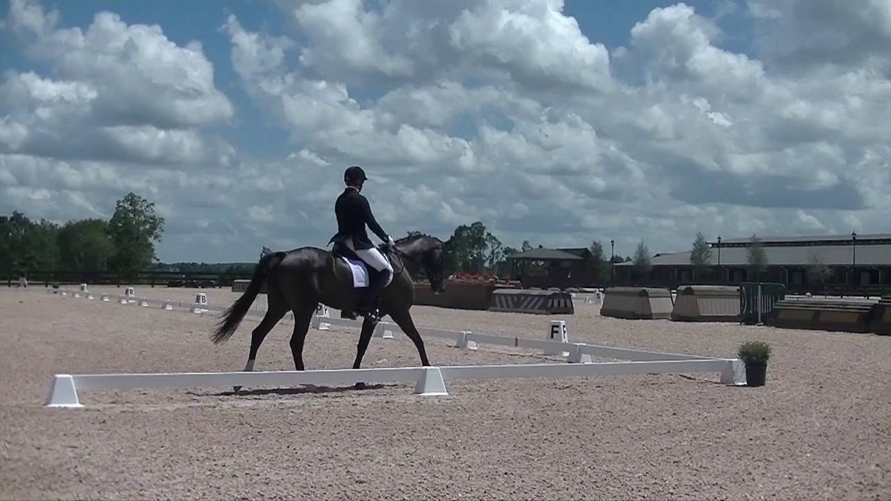 2016 Finale First Level Test 3 73.235 YouTube