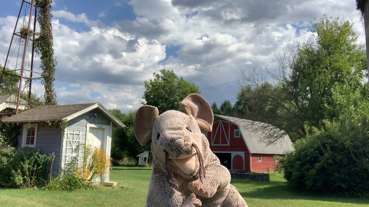 Happy Goat Ranch Welcome to Happy Goat Farm - YouTube
