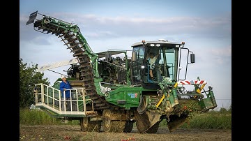 MTS SANDEI 850R!! Raccolta pomodori