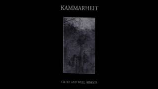 Kammarheit 2003 - Asleep And Well Hidden (Dark Ambient | Full Album)