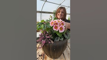 First spring container! Yay! 🌸🥰🌿