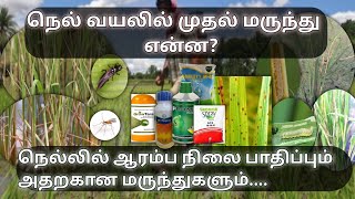 நெல் வயலில் முதல் மருந்தும் அதன் அளவும் | Paddy fist spraying chemiacals