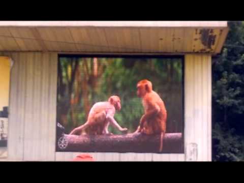 სარეკლამო ეკრანი