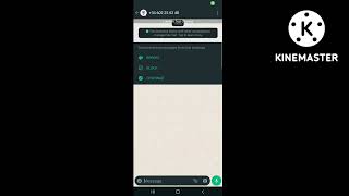 Chatbot screenshot 5