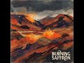 The burning saffron ! new song out now. #classmusic #artist #hiphop