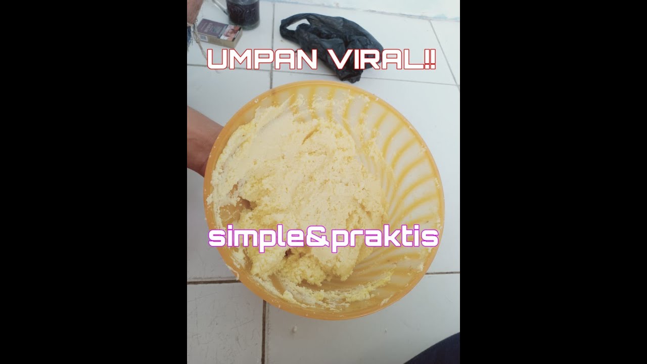 UMPAN KEJU GALATAMA LELE VIRAL!!