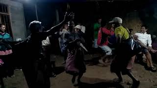 TARIAN BIDU Timor Gaul