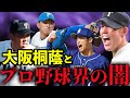 【プロ野球界の闇】大阪桐蔭の選手がドラフト会議で指名されなかった本当の理由を暴露します