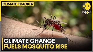Climate Change Fuels Global Rise in Mosquito Populations | WION Climate Tracker