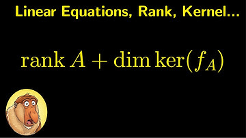 The Rank-Nullity Theorem: The Lost Dimension