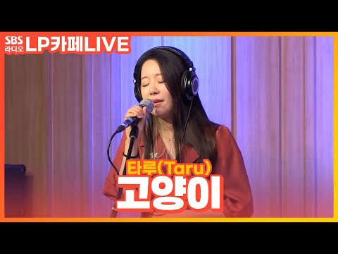 [LIVE] <strong>타루</strong>(Taru) - 고양이(Cat) | 원곡 넬(NELL) | 정엽의 LP카페